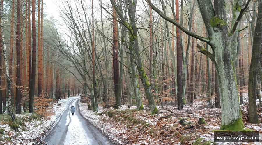 勇攀高峰，梦想飞扬